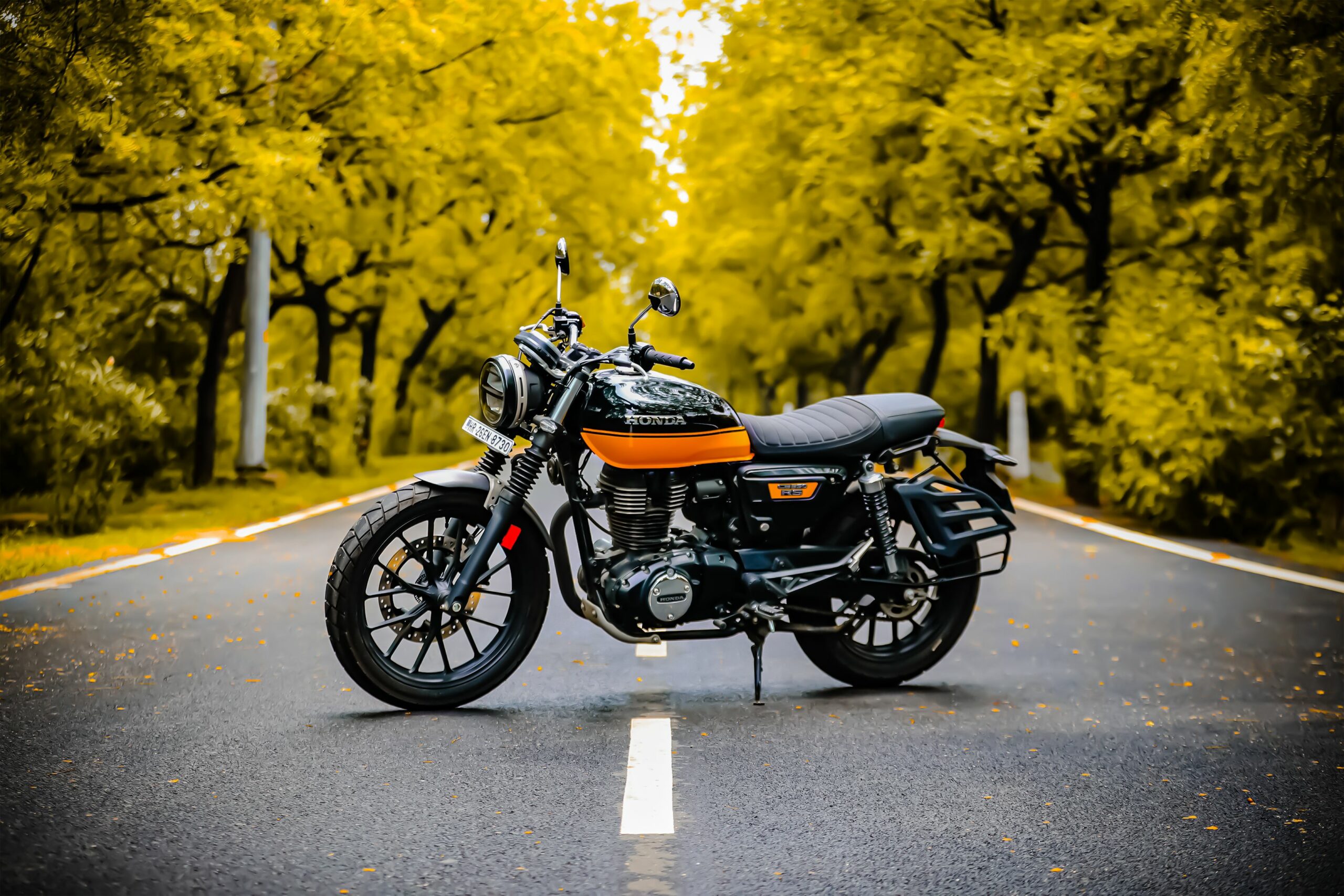 Moto sur une route bordée d’arbres