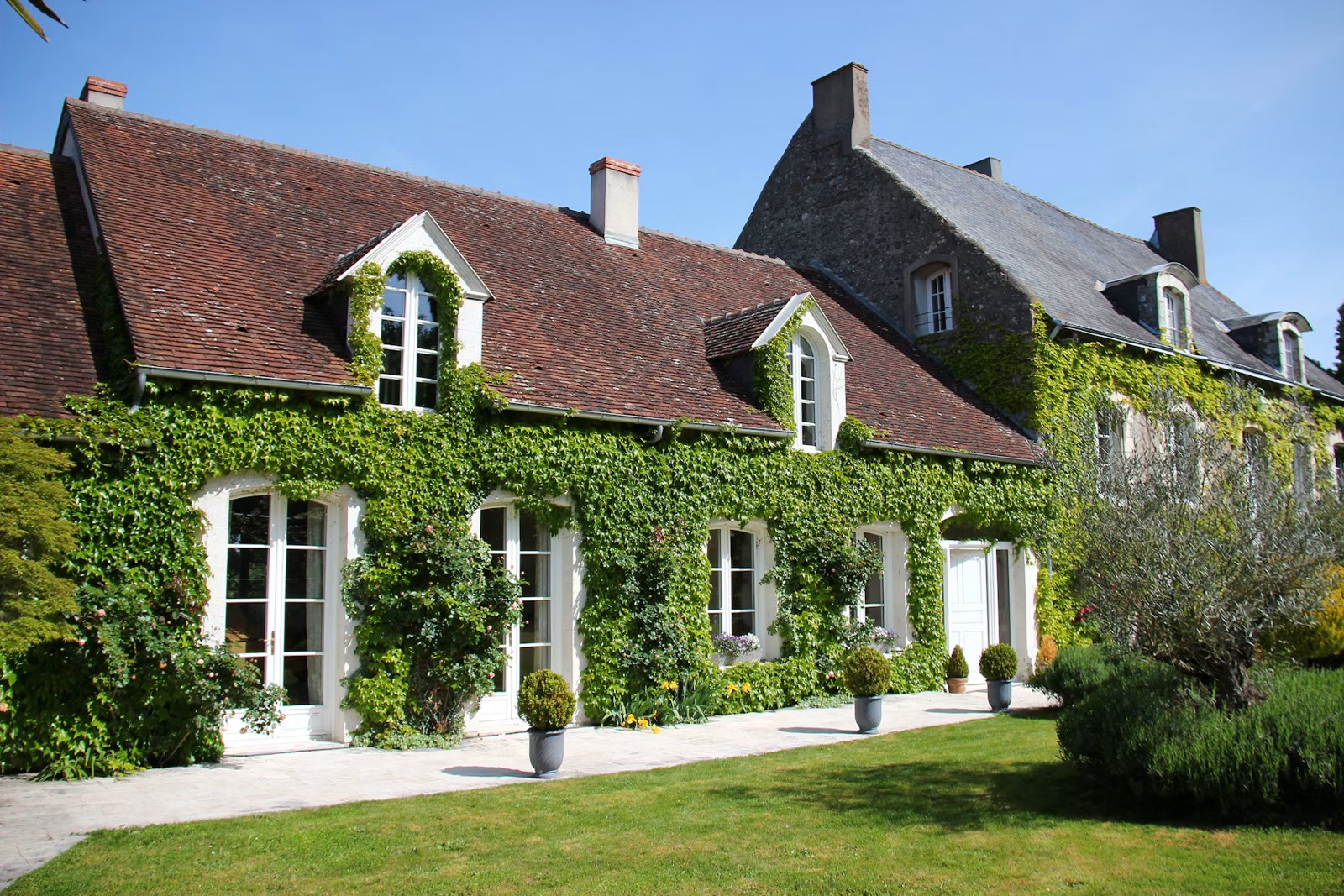 Maison française à Blois, toiture en tuiles et façade végétalisée